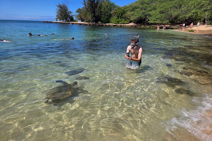 Oahu Small-Group Circle Island Tour with Turtle Snorkeling - photo
