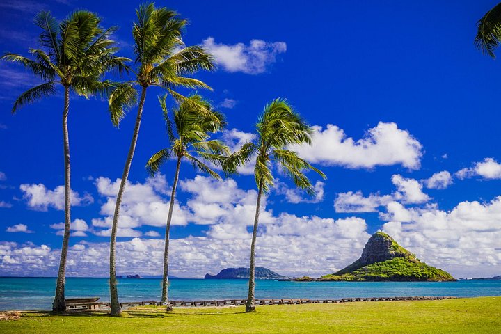 USS Arizona Memorial with palm trees