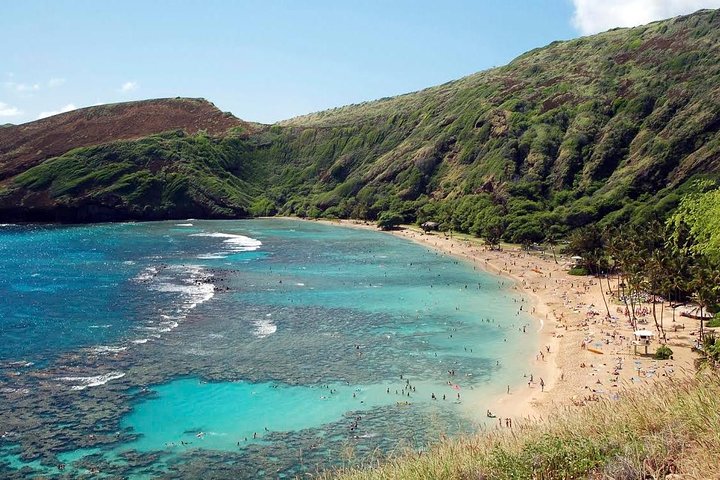 Aerial view of a curved beach with green cliffs