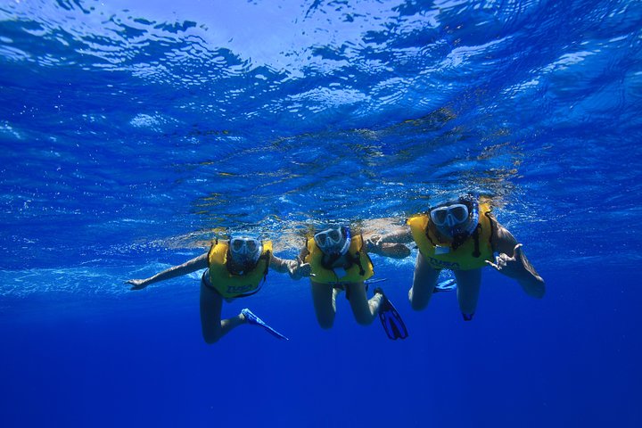 Scuba divers swimming over a coral reef